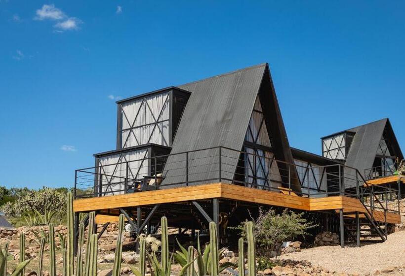 חדר דלוקס, Coyote