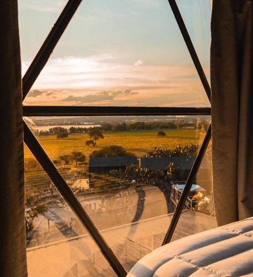 חדר דלוקס, Coyote