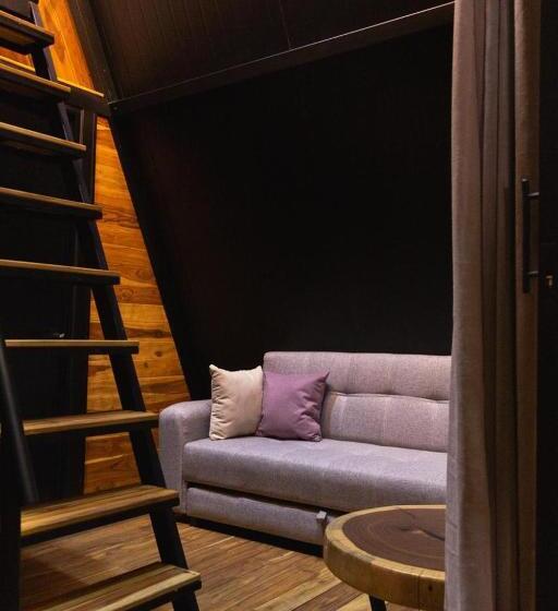 חדר סטנדרט, Coyote