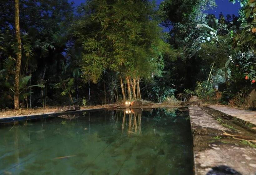 חדר סטנדרט נוף לבריכה, Petrichor   Regenerative Living Experience