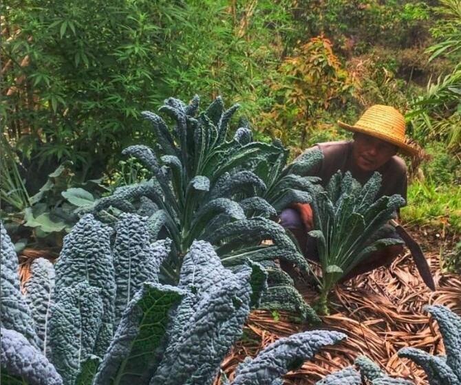 חדר דלוקס עם מרפסת, Petrichor   Regenerative Living Experience