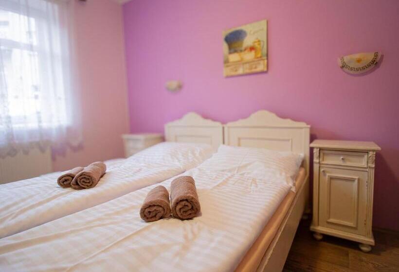 豪华房间, Penzion Anebel