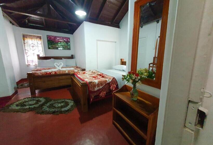 اتاق استاندارد, Ruchi House