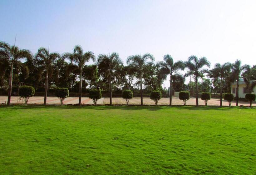 프리미엄 룸, Celebration Green