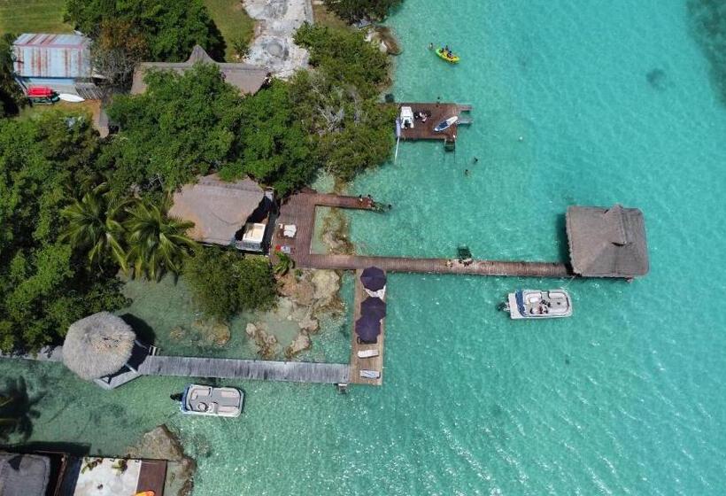 شقة ديلوكس غرفة واحدة, Xoot Ka Ana Luxury, Villa Las Flores