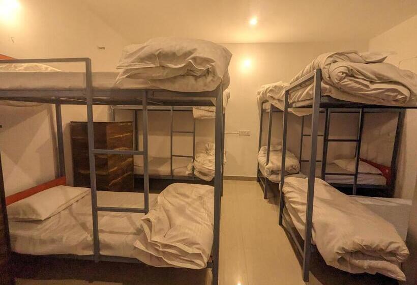 共用房间的床, Wandering Musician Bir