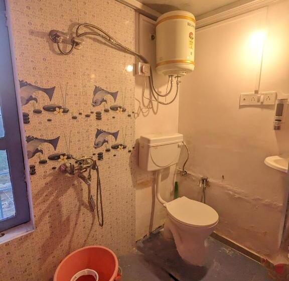 共用房间的床, Wandering Musician Bir