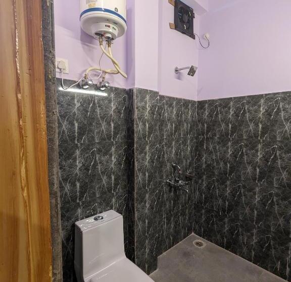 标准间带山景, Wandering Musician Bir