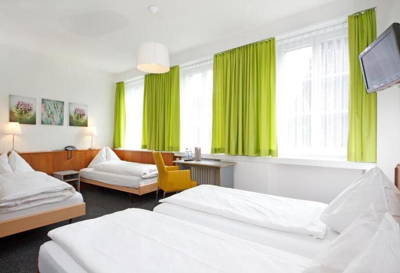 4인용 수피리어 룸, Goldener Stern Contactless Check In