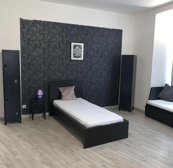 تختخواب در اتاق مشترک, Only Ladies Hostel Female Only