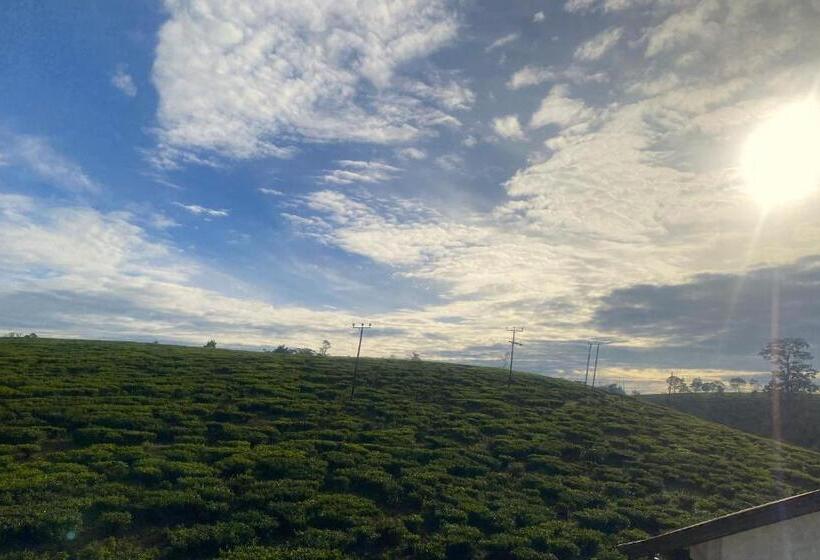 패밀리 룸 산 전망, Jl Grand