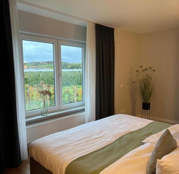 带露台的套间, Vorgebirgsblick   Restaurant Biergarten Gästehaus