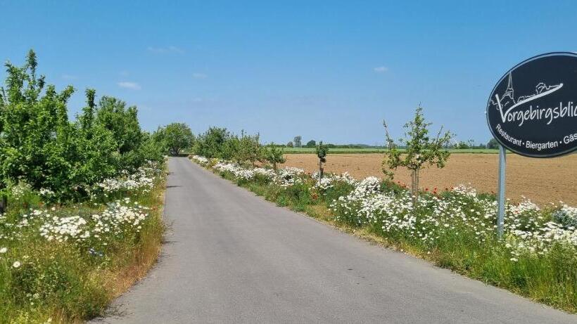 标准单人间, Vorgebirgsblick   Restaurant Biergarten Gästehaus