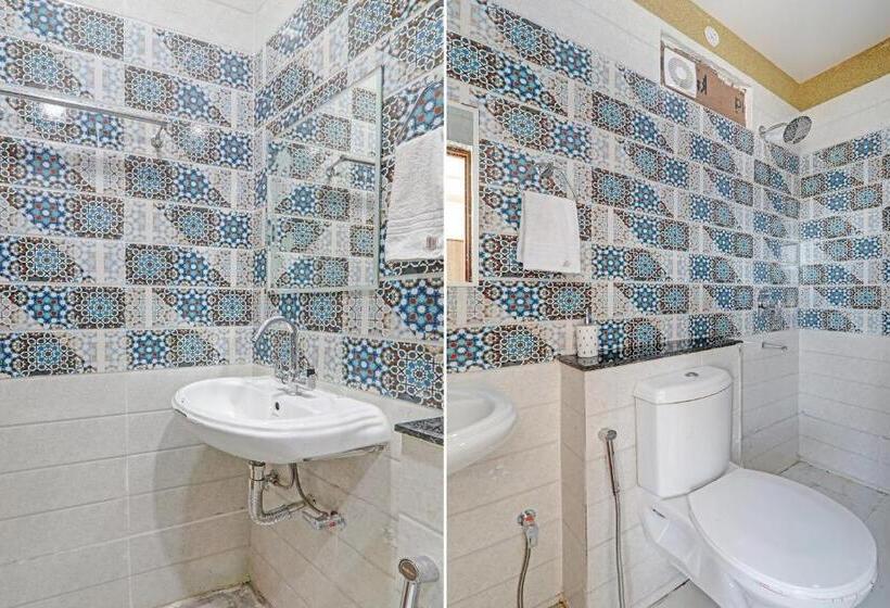 Трехместный Номер Классика, Flagship Hotel The Aryan