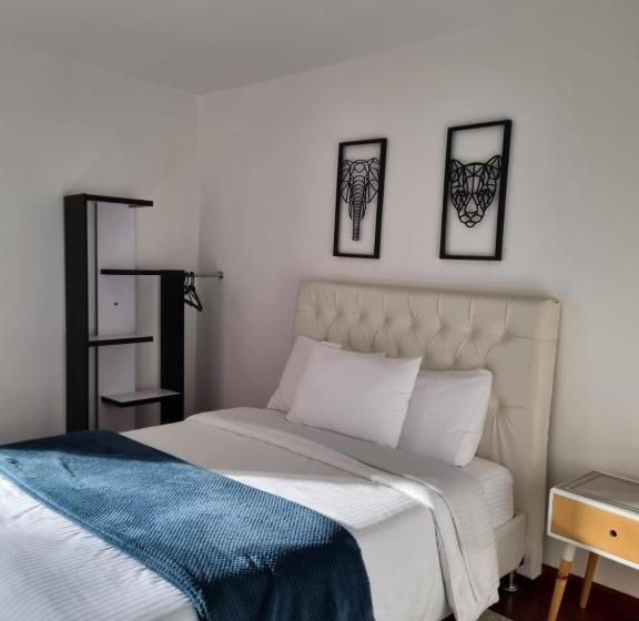 Номер Стандарт, Florentina