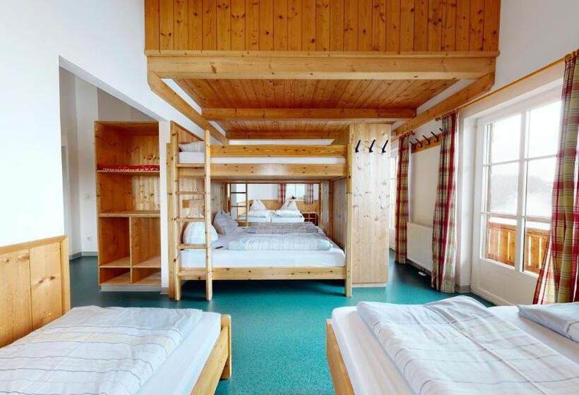 ルームシェアのワンベッド, Pinzgauer Hütte Zell Am See Piesendorf