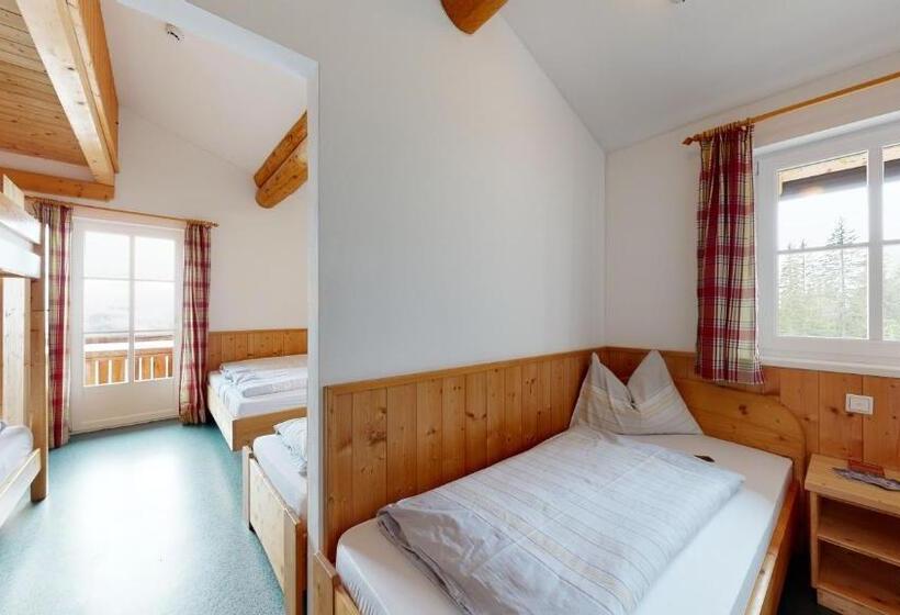 ルームシェアのワンベッド, Pinzgauer Hütte Zell Am See Piesendorf