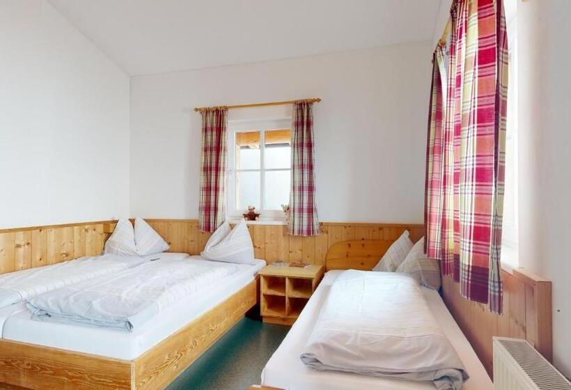 ルームシェアのワンベッド, Pinzgauer Hütte Zell Am See Piesendorf