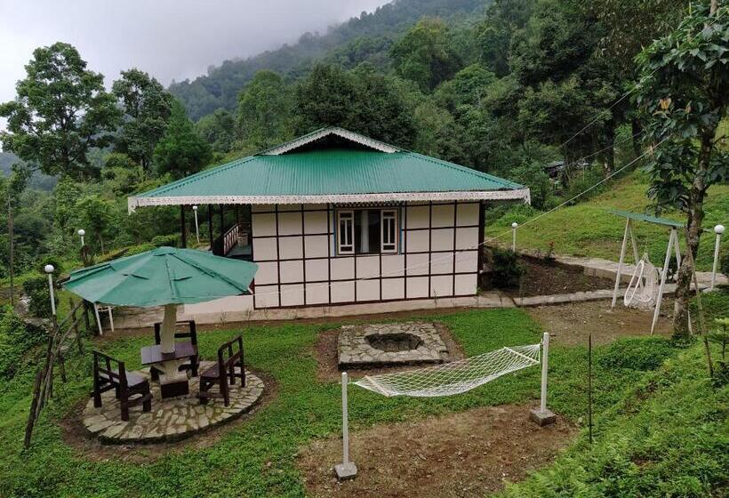 小室, The Nettle And Fern Farmstay