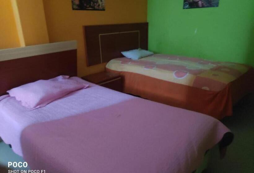 اتاق استاندارد, Hospedaje El Pino