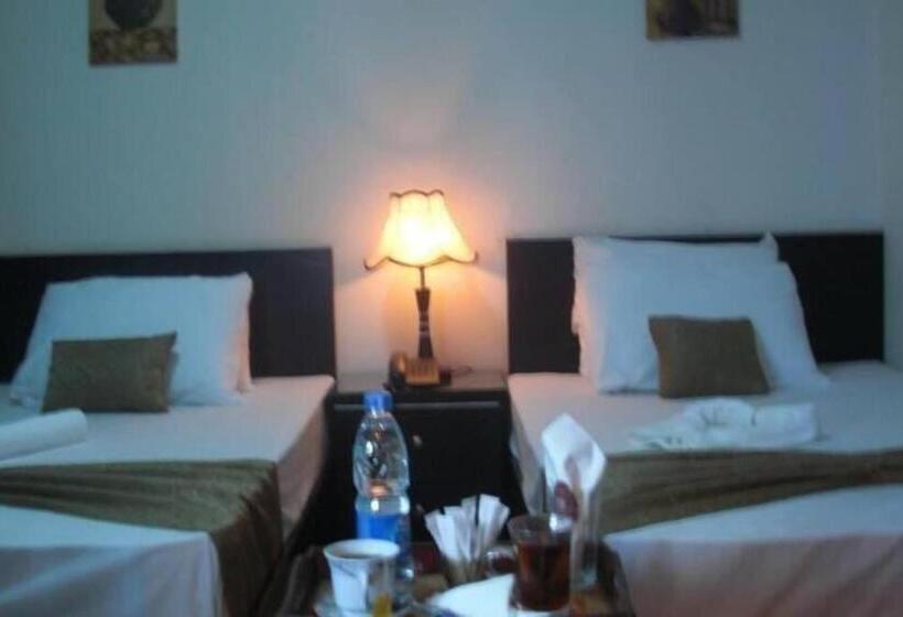 Номер Deluxe, Cairo Plaza Guest House