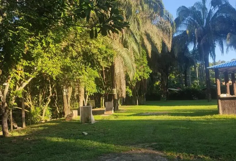 デラックスルーム, Hostel Glamping Mistiko Safari Carmen De Apicala