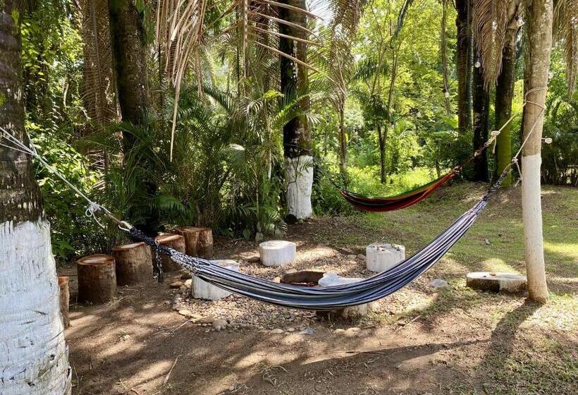 غرفة قياسية, Hostel Glamping Mistiko Safari   Carmen De Apicala