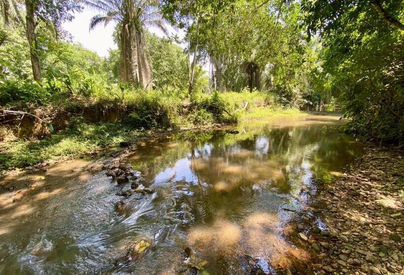 غرفة قياسية, Hostel Glamping Mistiko Safari   Carmen De Apicala