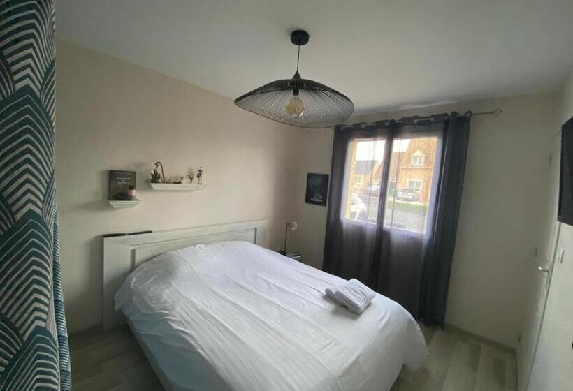 Номер Стандарт, Ideal 24h Le Mans