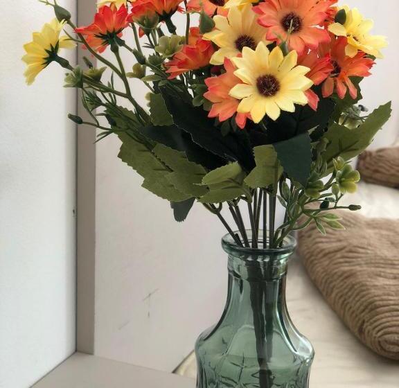 جناح, Pousada Villa Margarida Buzios