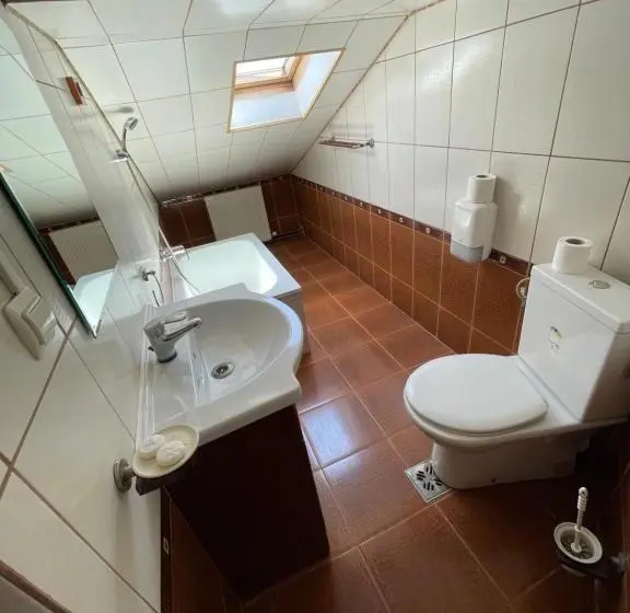 Standard Yhden Hengen Huone, Pensiunea Olympia Nădab
