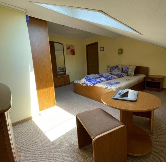 غرفة قياسية فردية, Pensiunea Olympia Nădab