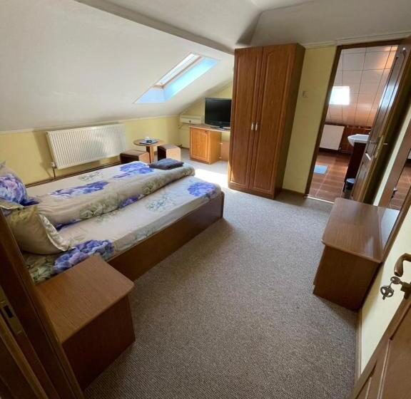 غرفة قياسية فردية, Pensiunea Olympia Nădab