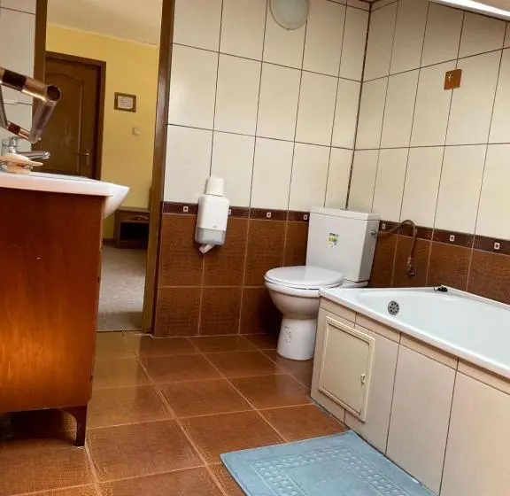 Economy-huone, Pensiunea Olympia Nădab