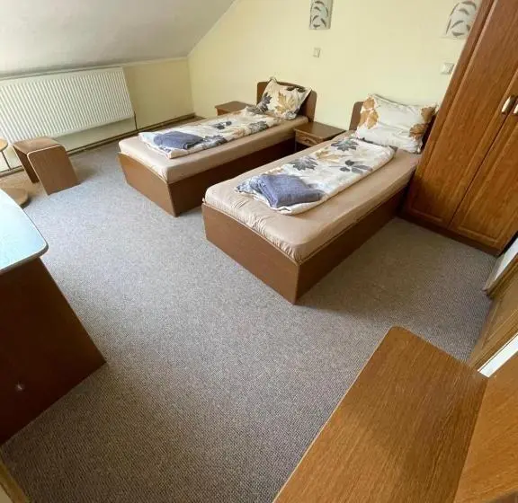 Economy-huone, Pensiunea Olympia Nădab