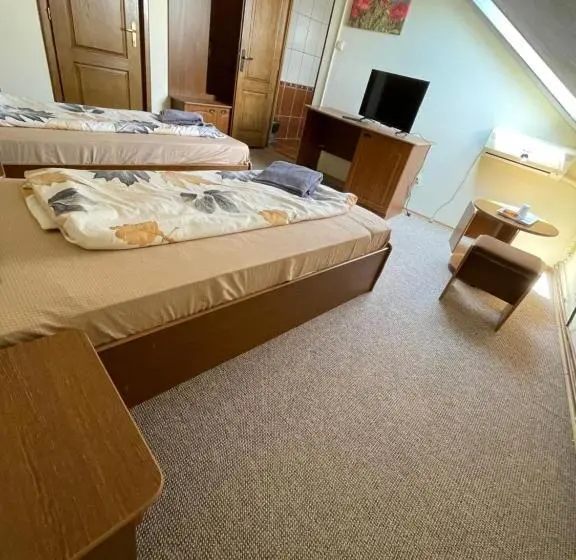 Economy-huone, Pensiunea Olympia Nădab