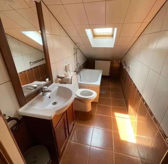 Basic Kolmen Hengen Huone, Pensiunea Olympia Nădab