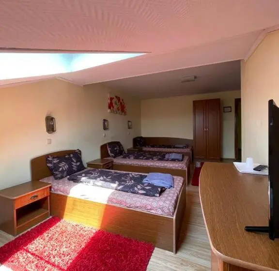 Basic Kolmen Hengen Huone, Pensiunea Olympia Nădab