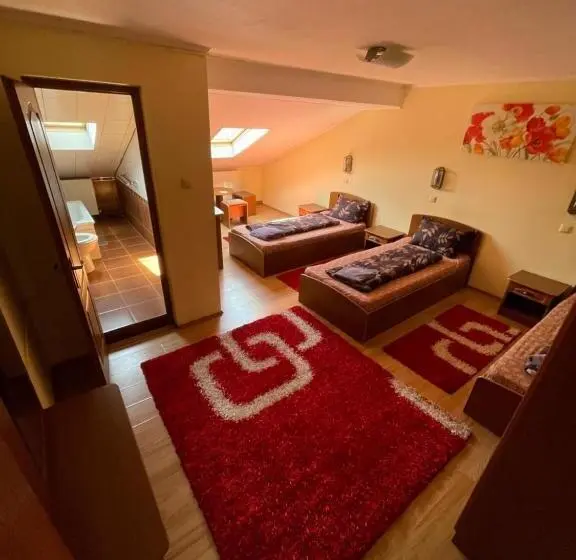 Basic Kolmen Hengen Huone, Pensiunea Olympia Nădab