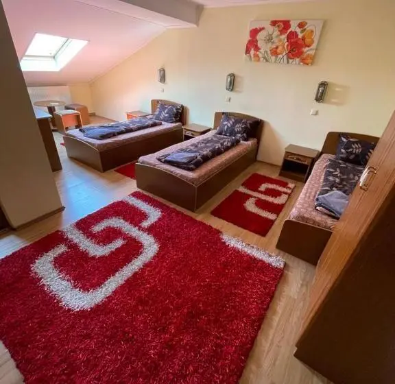 Basic Kolmen Hengen Huone, Pensiunea Olympia Nădab