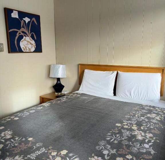 豪华房间, Town And Country Motel