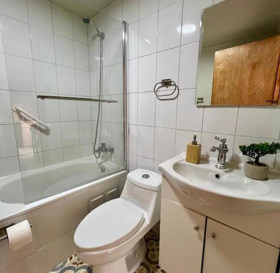 Номер Стандарт, Siempre Verde