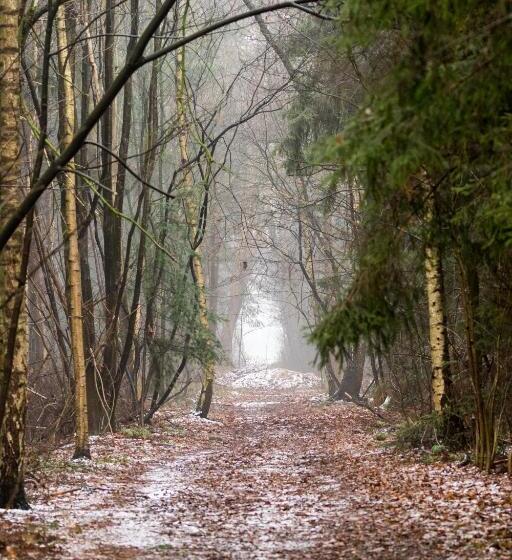 חדר דלוקס נוף לגינה, B&b De Hagmolenbeek Boekelo