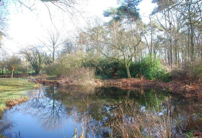 חדר דלוקס נוף לגינה, B&b De Hagmolenbeek Boekelo