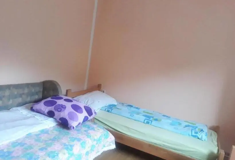 اتاق استاندارد با سرویس بهداشتی مشترک, Guesthouse Stanojevic