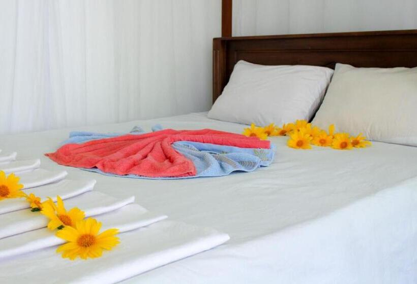 Camera Standard, Moon Light Guest