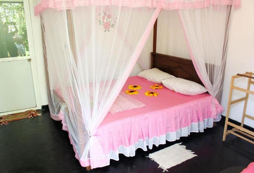 Camera Standard, Moon Light Guest