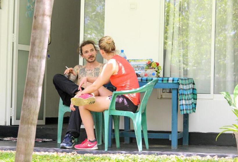 Camera Standard, Moon Light Guest