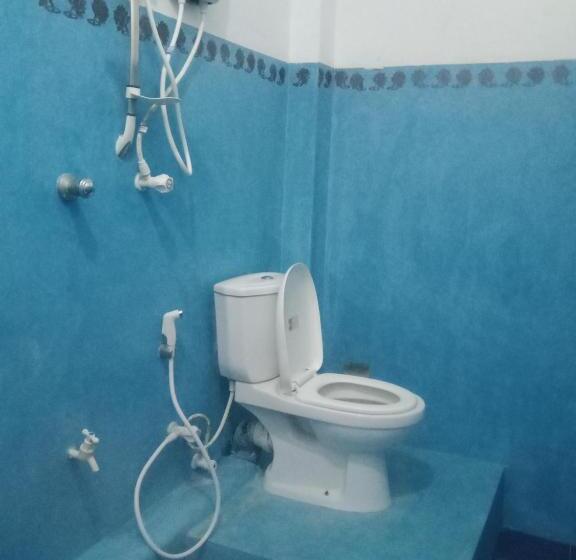 Camera Standard, Moon Light Guest