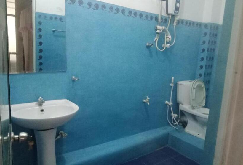 Camera Standard, Moon Light Guest